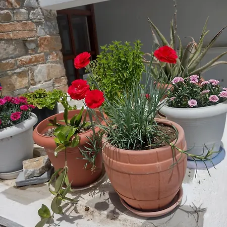 דירה Agali Tínos